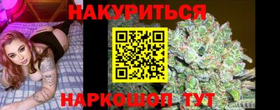 гидропоника Кингисепп