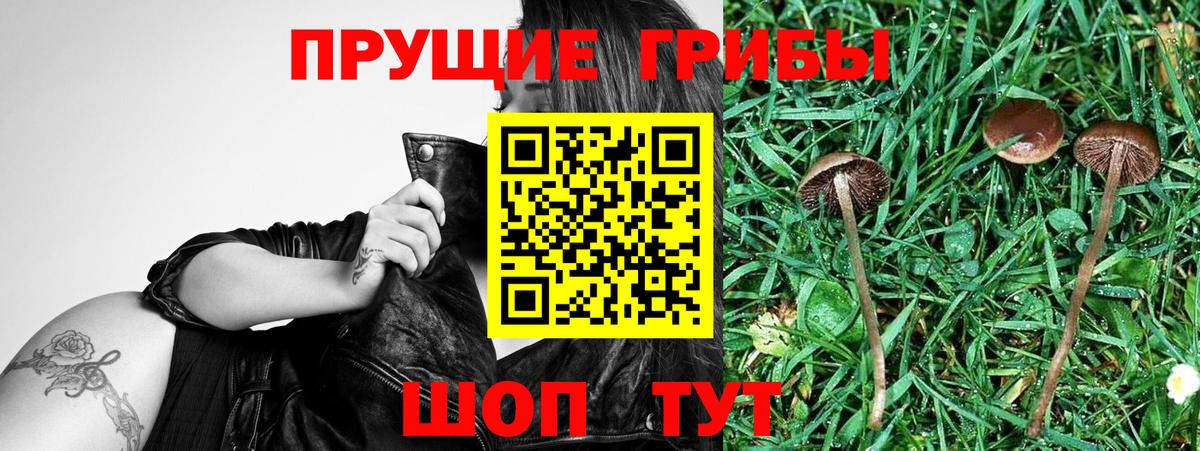 Галлюциногенные грибы Cubensis  Вход с VPN  Псилоцибиновые грибы Magic Shrooms  Кандалакша 